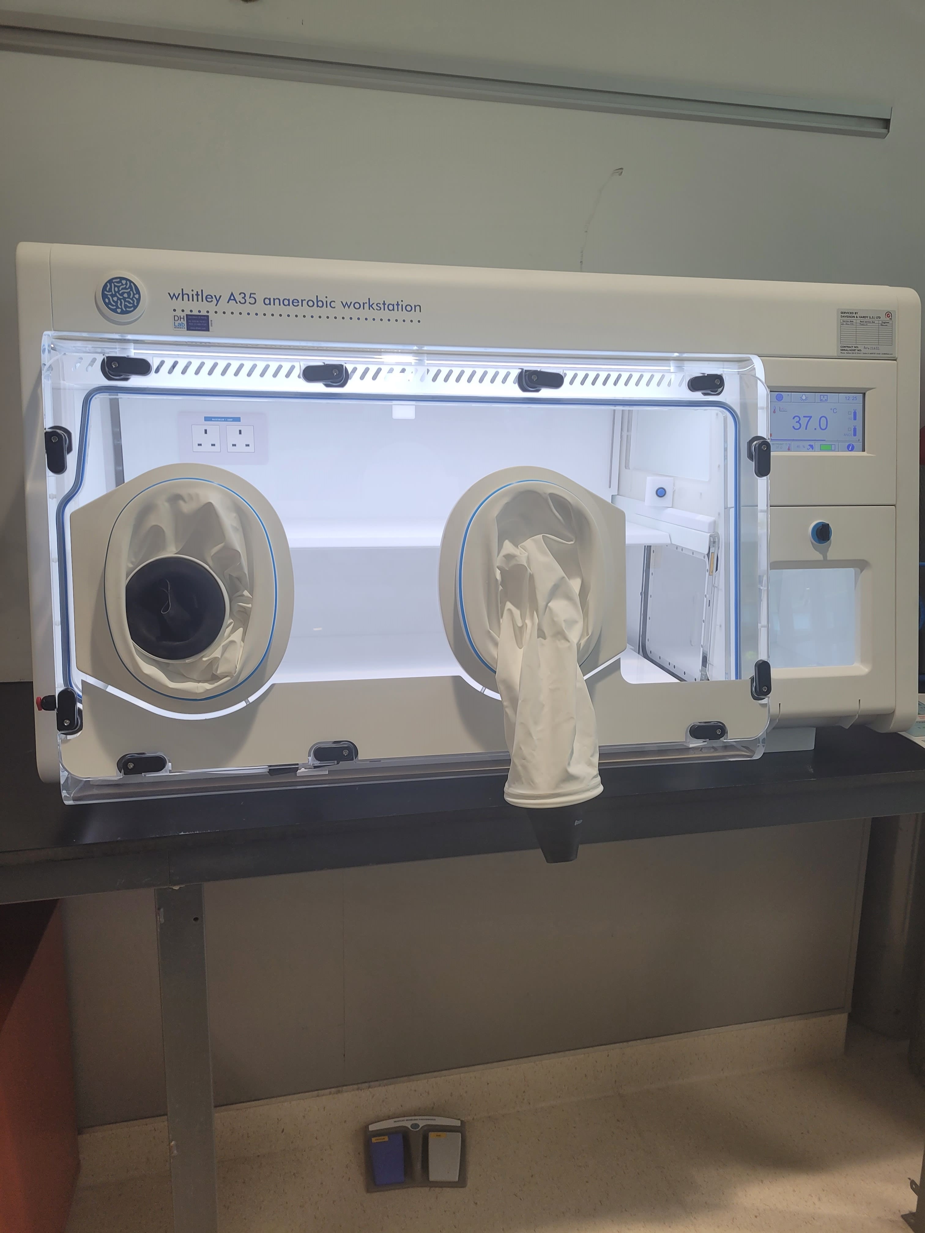 Anaerobic Chamber [Ariel]